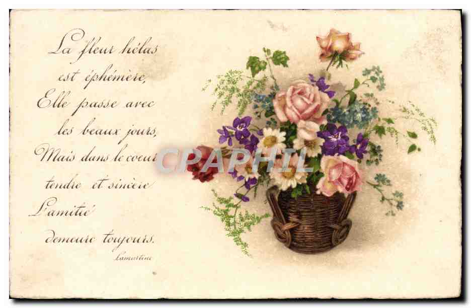 CPA Fantaisie Fleurs 