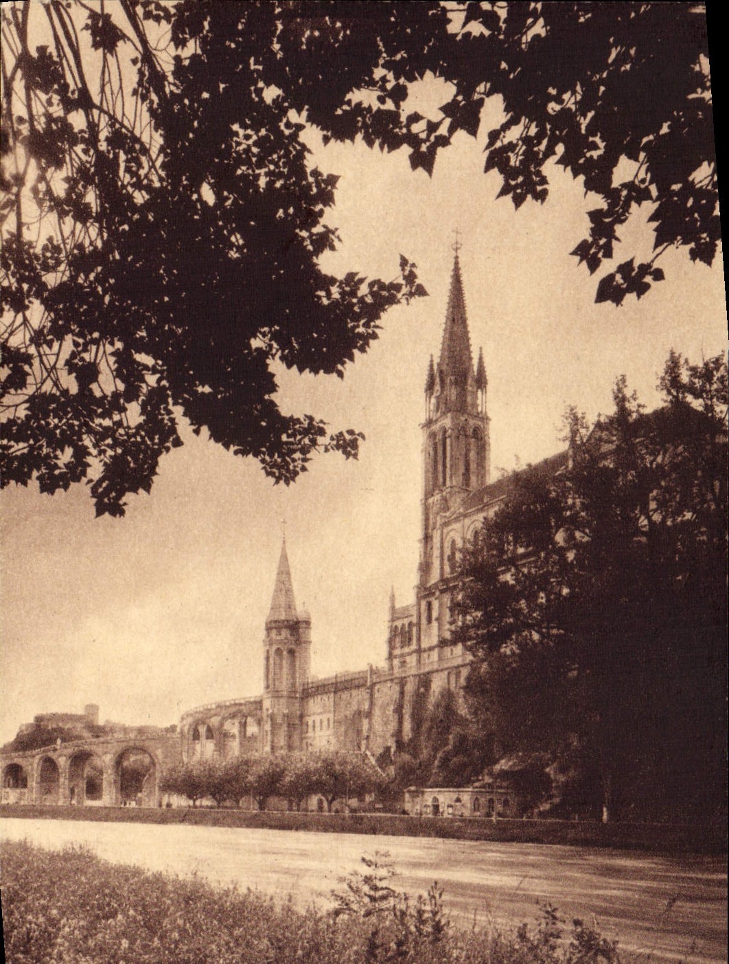 CPA Lourdes La Basilique et la Grotte Vus du Gave