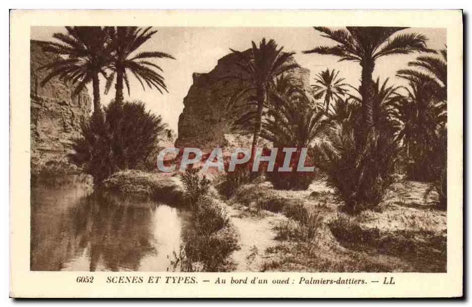 CPA Scenes Et Types Au Bord d'Un oued Palmiers dattiers