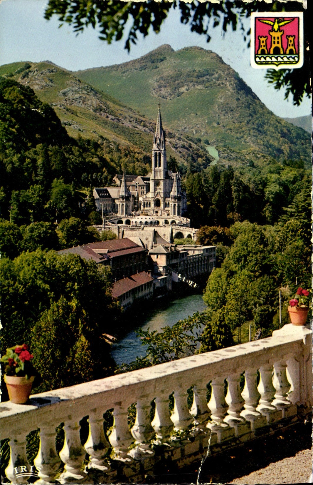 CPM Lourdes La Basilique et le Gave 