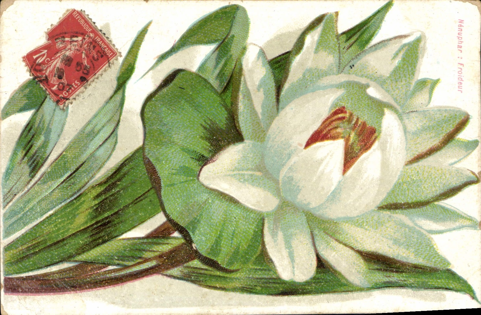 CPA Fantaisie Fleur Nenuphar Froideur