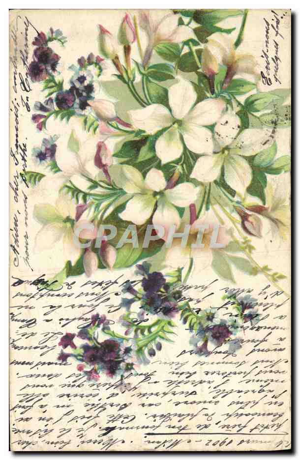 Bouquet de fleurs — illustration colorée — éditeur inconnu