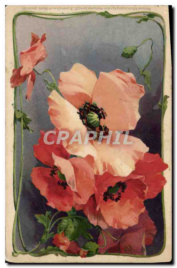 CPA Fantaisie Fleurs