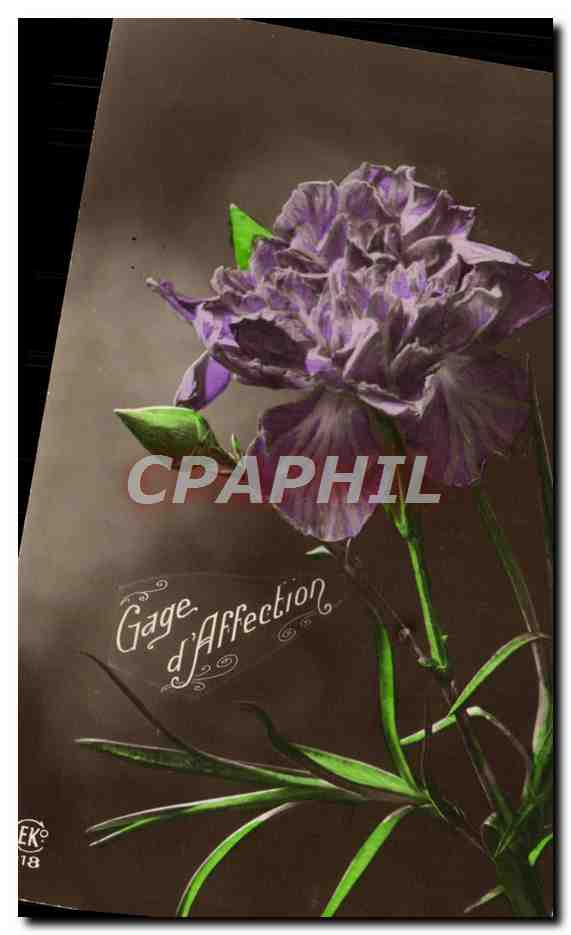 CPA Fantaisie Fleurs