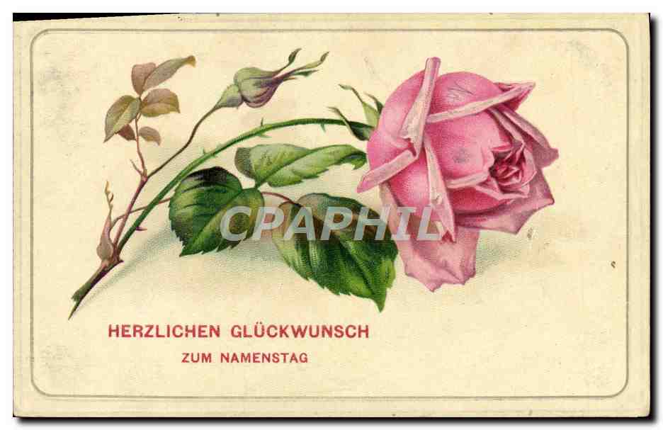 CPA Fantaisie Fleurs Rose 