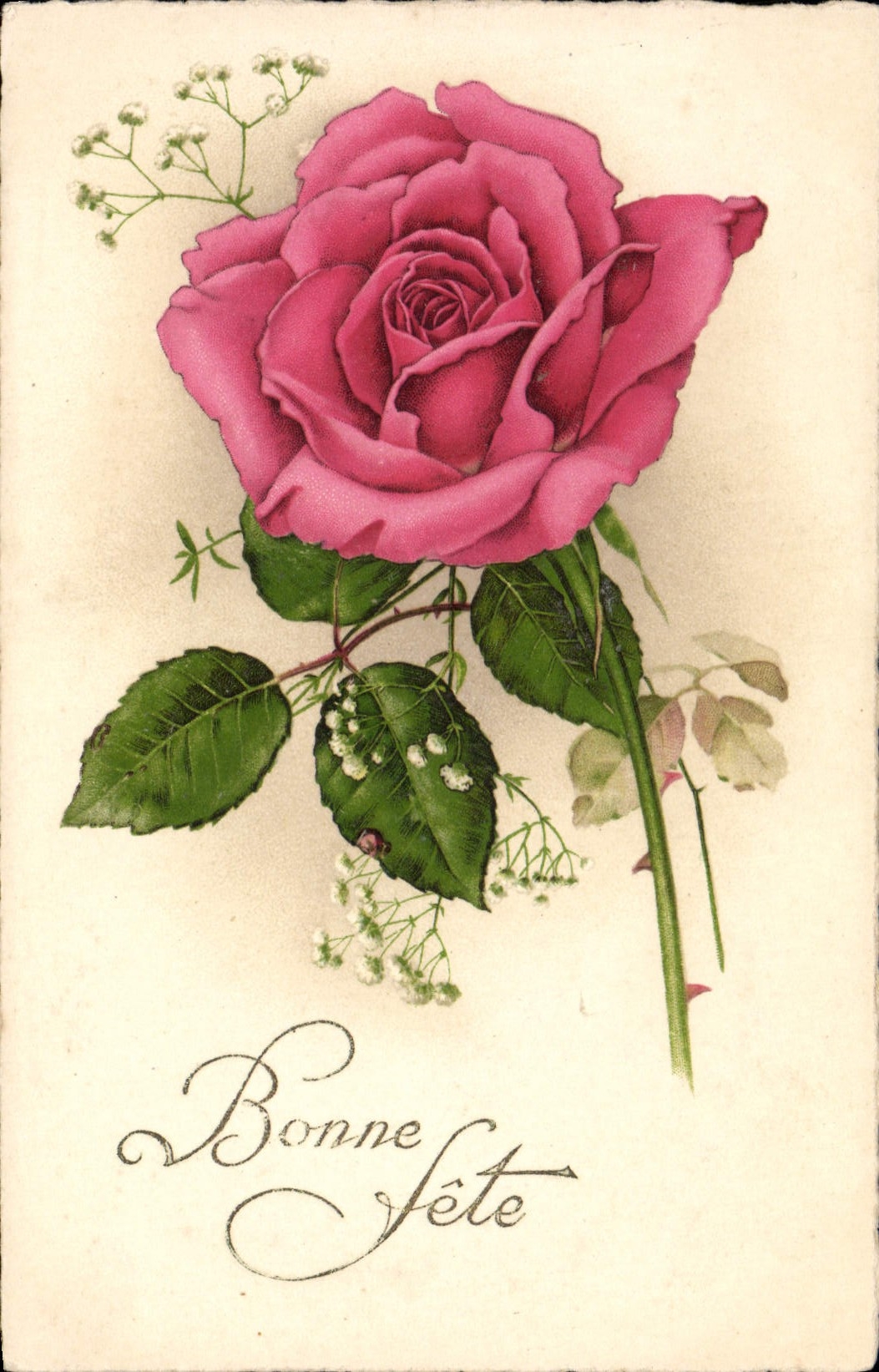 CPA Fantaisie Fleurs Rose