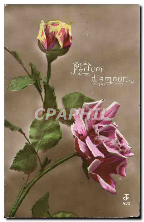 CPA Fantaisie Fleurs Parfum d'amour