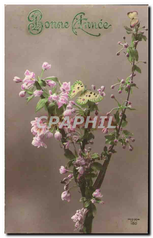 CPA Fantaisie Fleurs Papillon