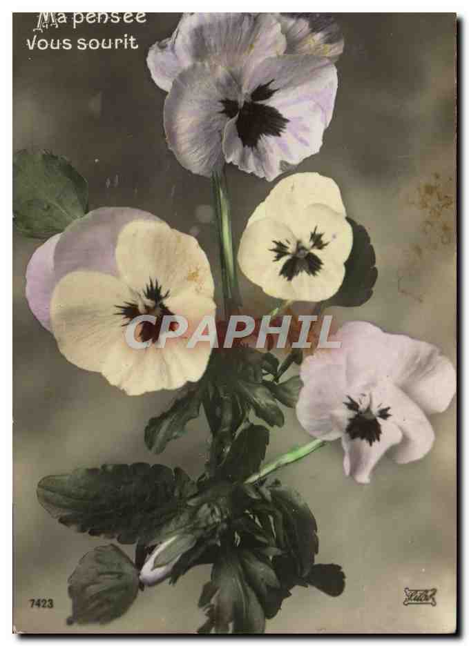 CPA Fantaisie Fleurs 