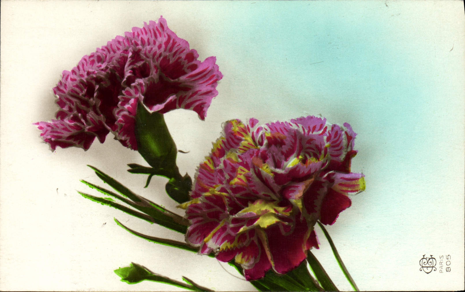 CPA Fantaisie Fleurs