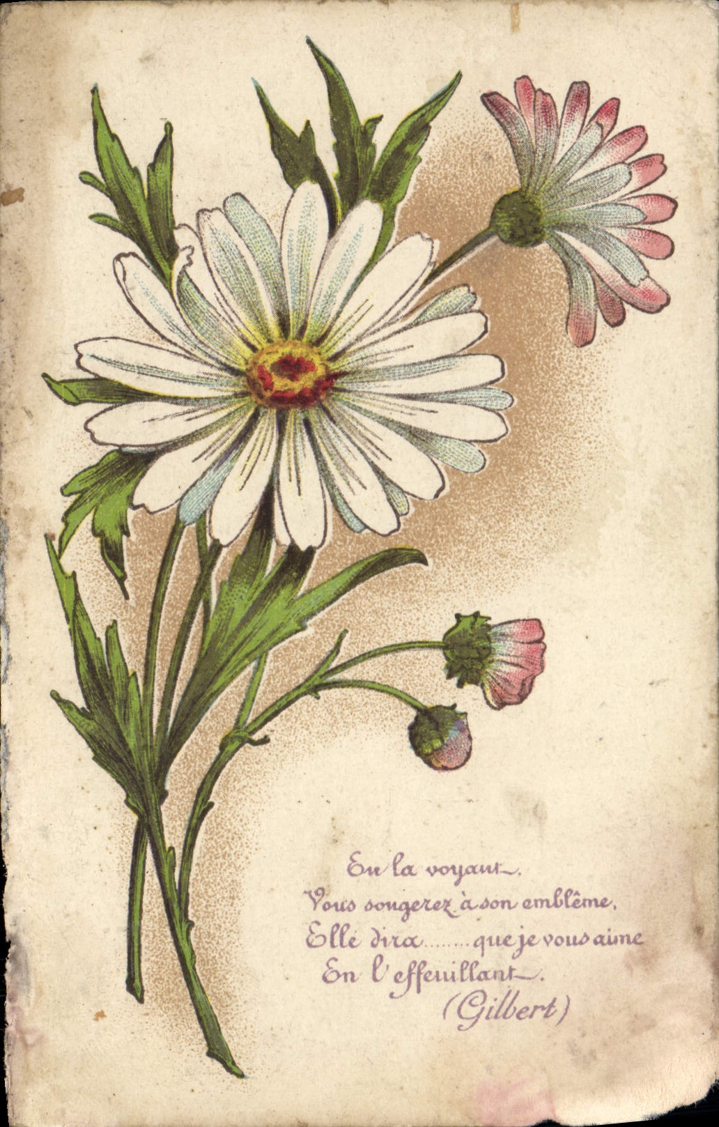 CPA Fantaisie Fleurs 