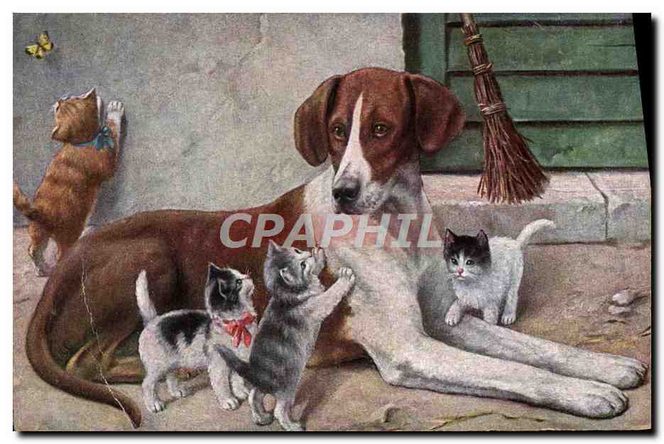 CPA Fantaisie Chien Chat chaton 