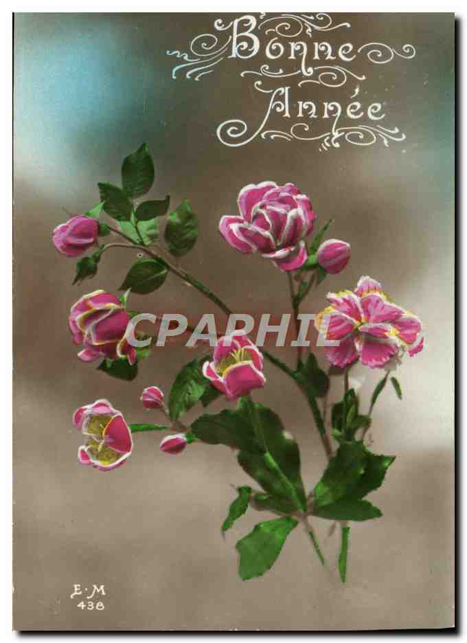 CPA Fantaisie Fleurs