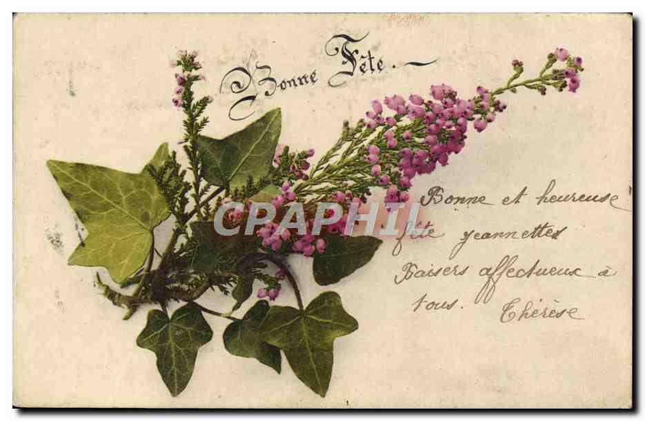 CPA Fantaisie Fleurs Vigne