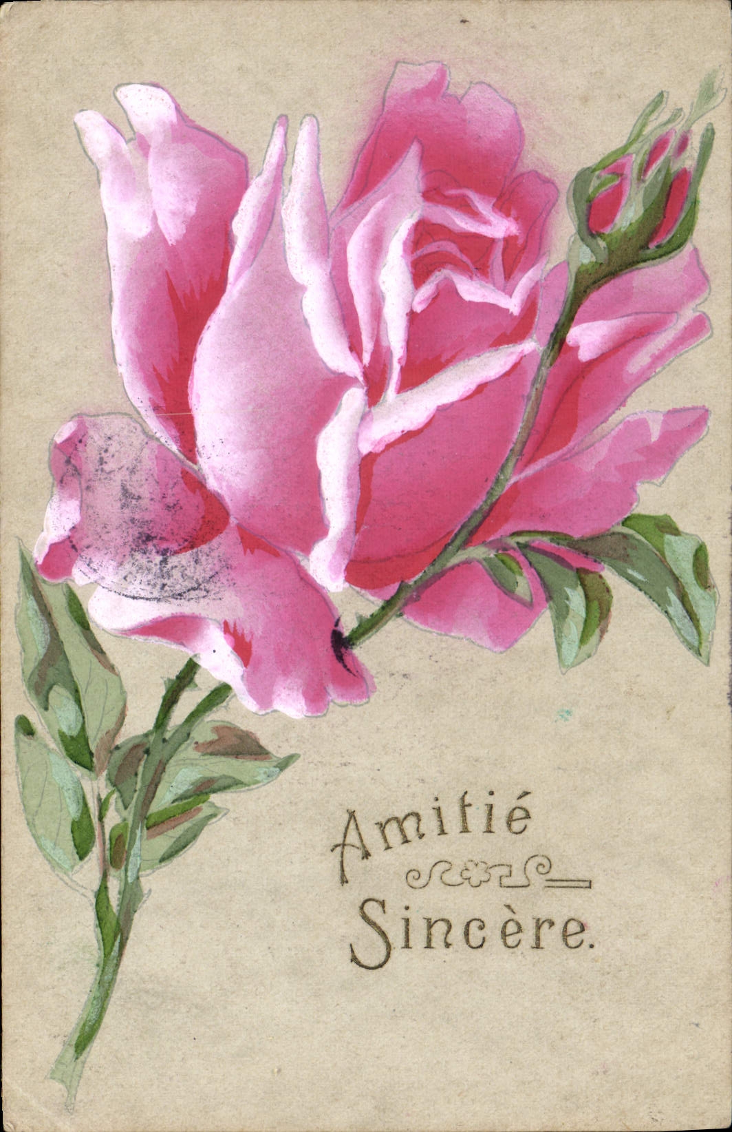 CPA Fantaisie Fleur Rose
