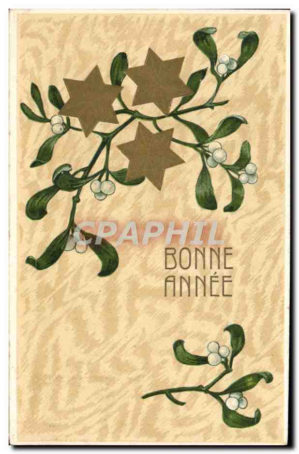 CPA Fantaisie Fleurs Gui
