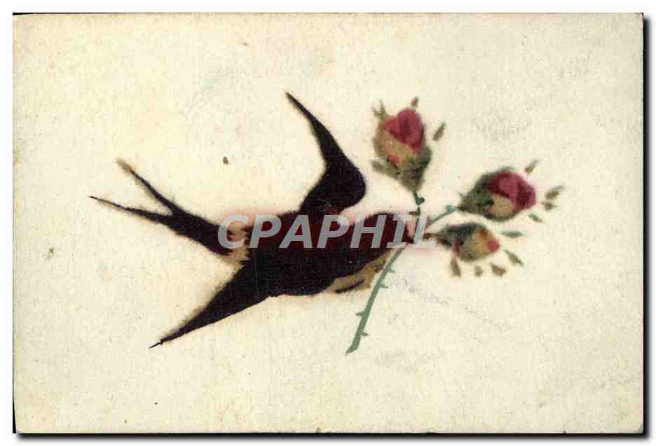CPA Fantaisie Oiseau Fleur