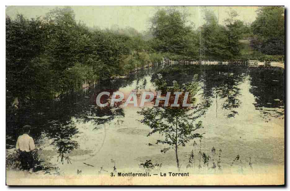 CPA Montfermeil Le Torrent (carte toilee)