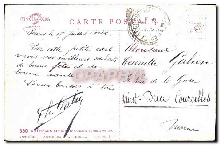 CPA Fantaisie Fleurs  — Rückseite