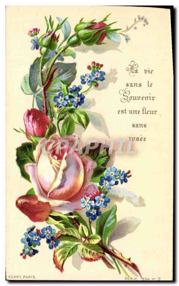 CPA Souvenir Une Fleur