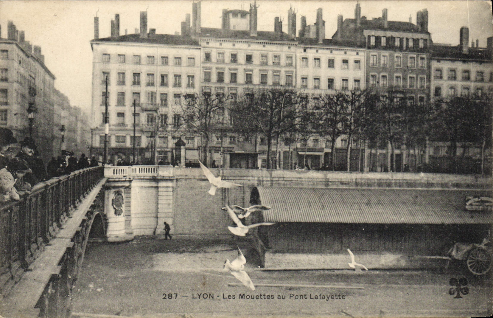 LYON - Möwen über den Pont Lafayette — 287