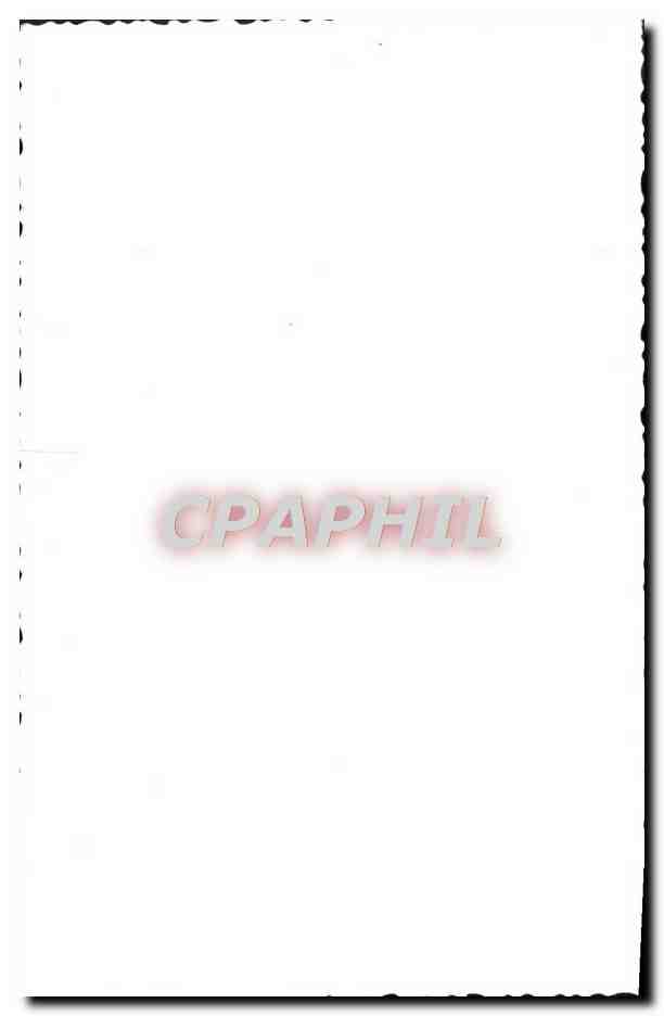 CPA Chameau Dromadaire (carte toilee) — Rückseite