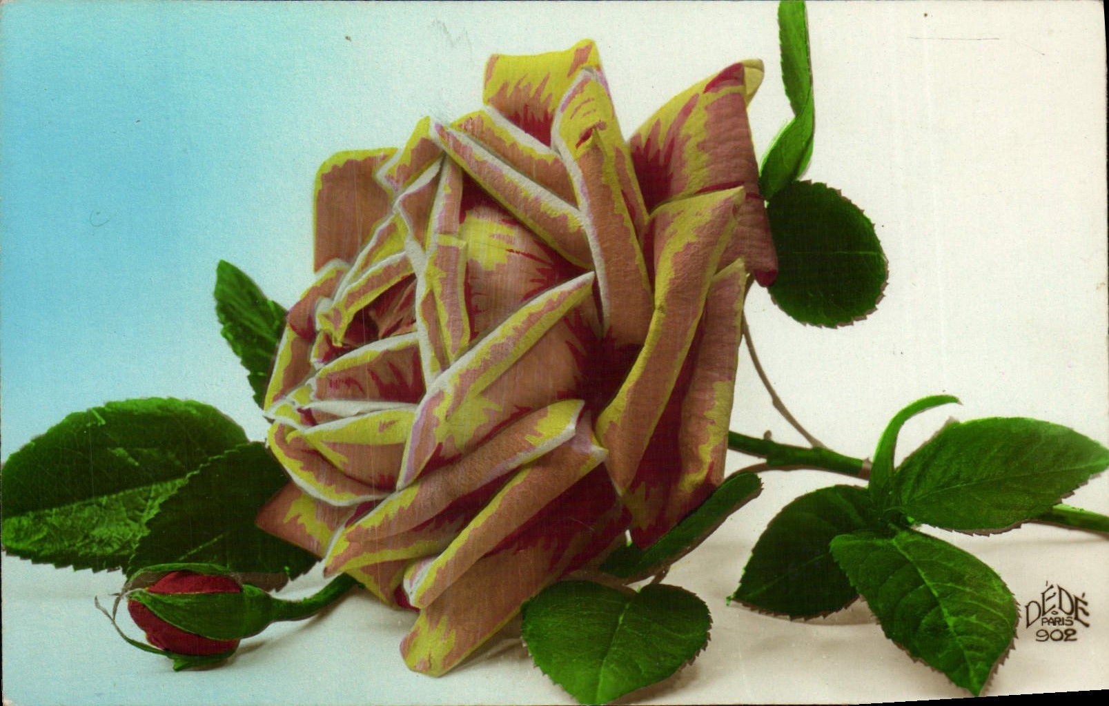CPA Fleurs