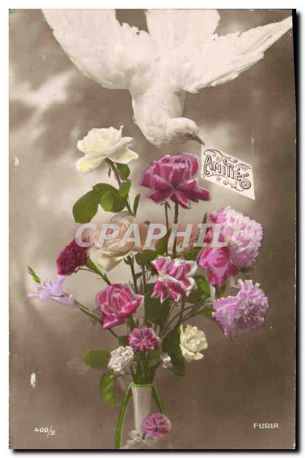 CPA Fantaisie Colombe