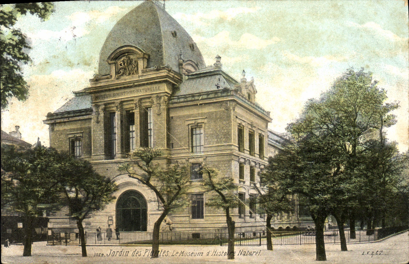 CPA Jardin Des Plantes Le Museum d'Histoire Naturelle Paris 