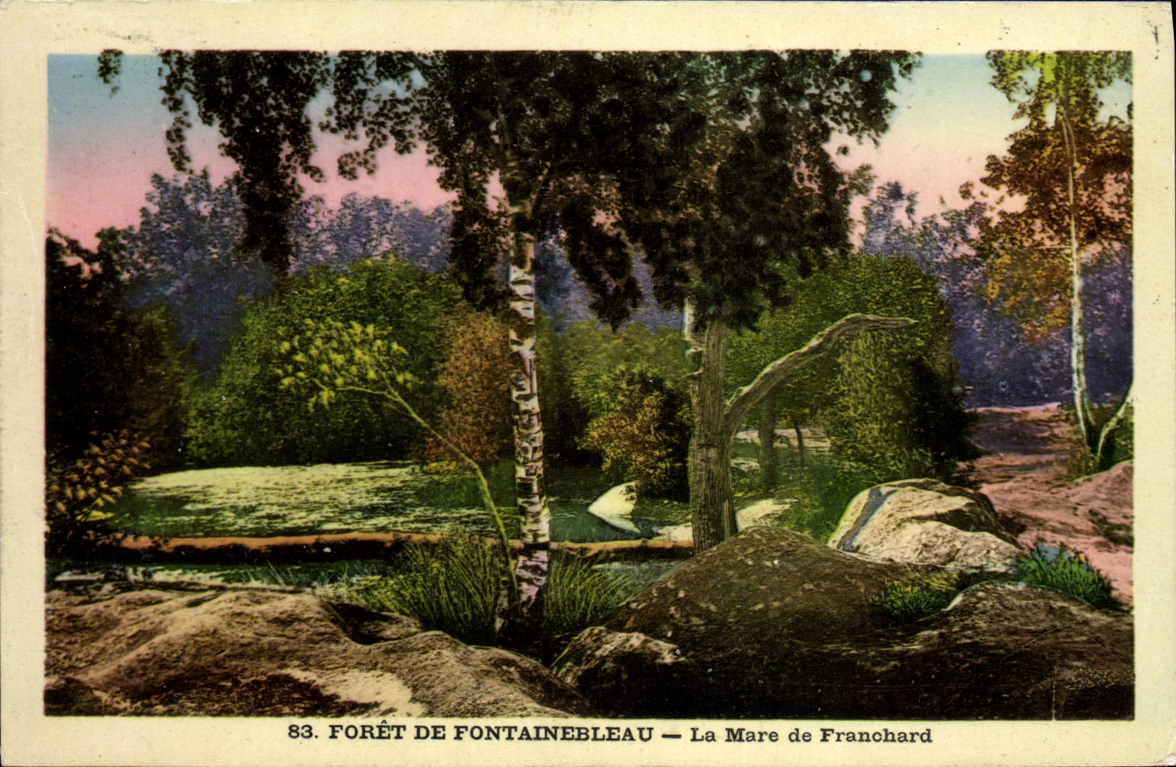 Foresta di Fontainebleau — La Mare de Franchard — n°83
