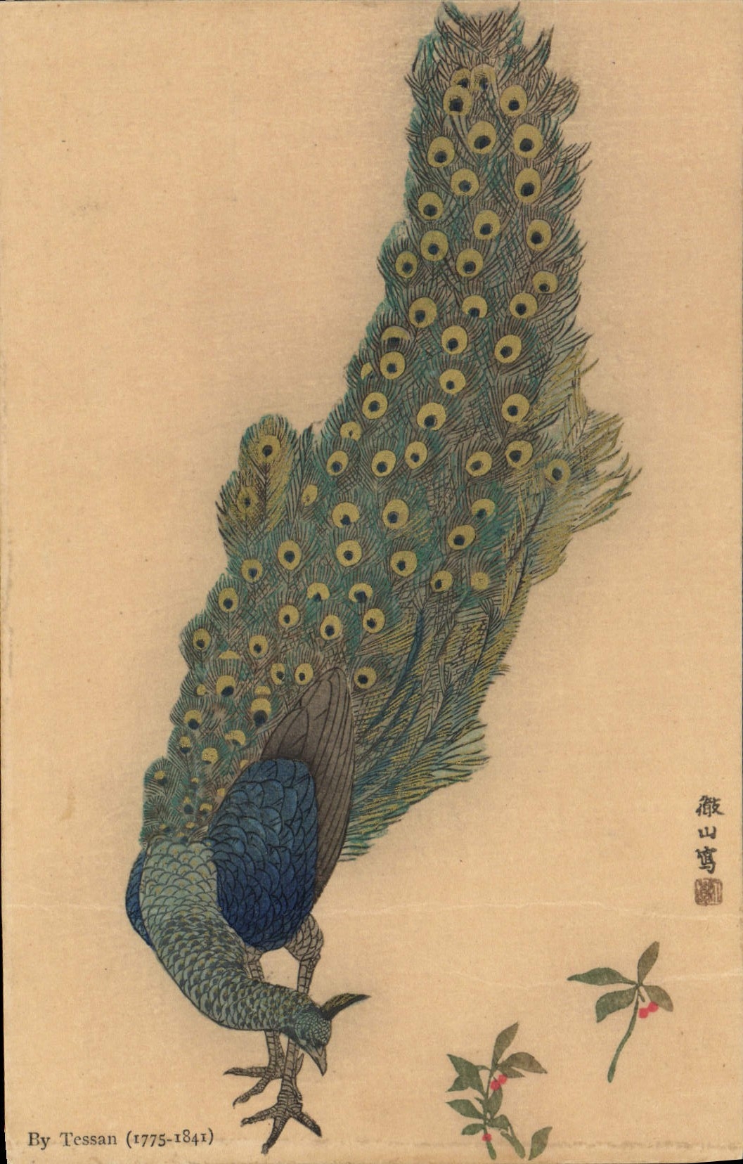 CPA Japon Nippon By Tessan Paon Oiseau