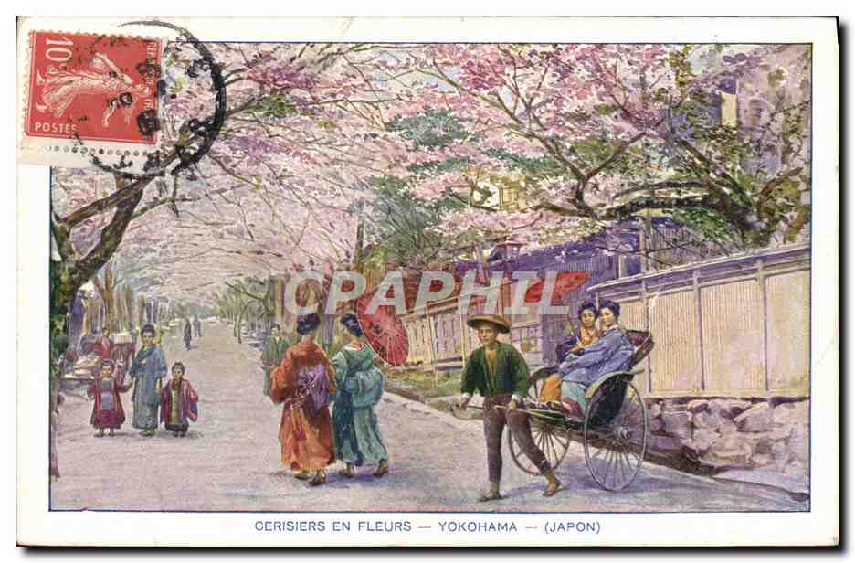 CPA Japon Nippon Cerisiers en fleurs Yokohama 