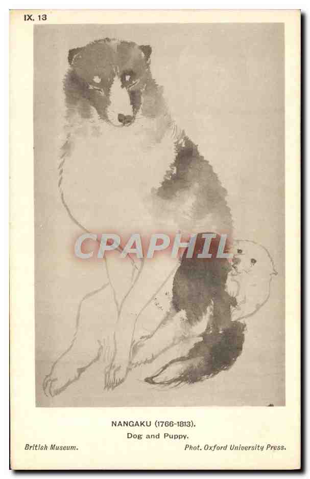 CPA Japon Nippon Nangaku Dog and Puppy Chien chiot 