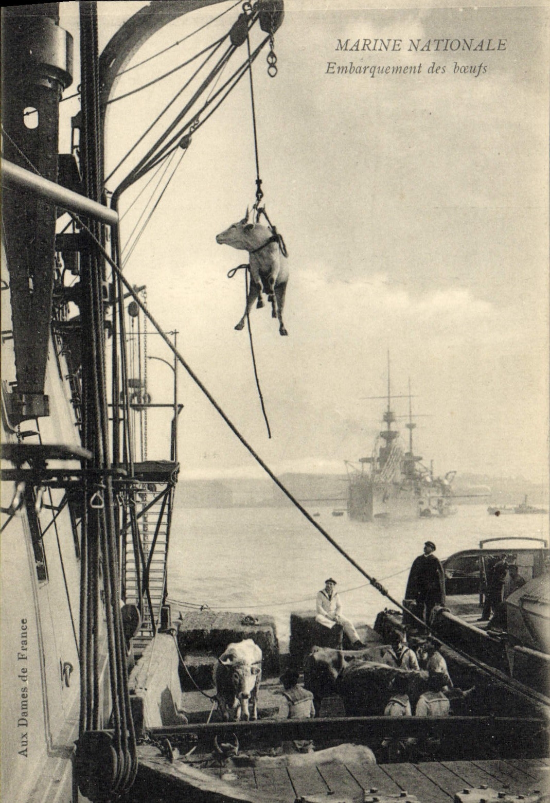 CPA Bateau Guerre Embarquement des boeufs 