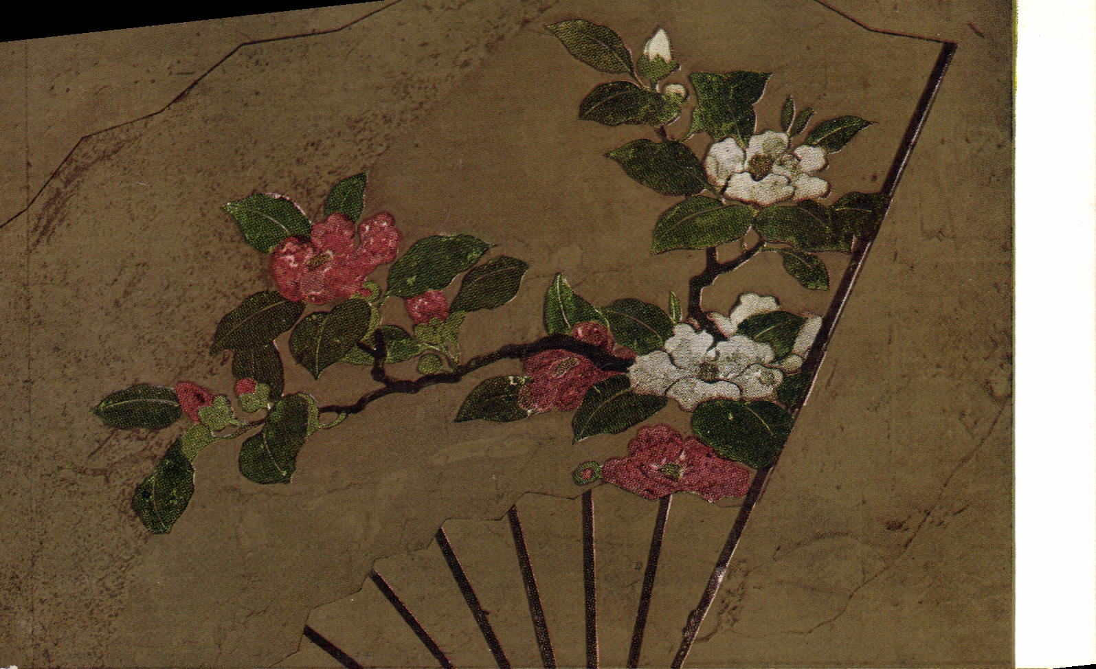 CPA Japon Nippon Kano Naonobu