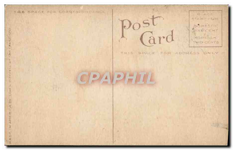 CPA Almond Orchard In Blossom — Verso