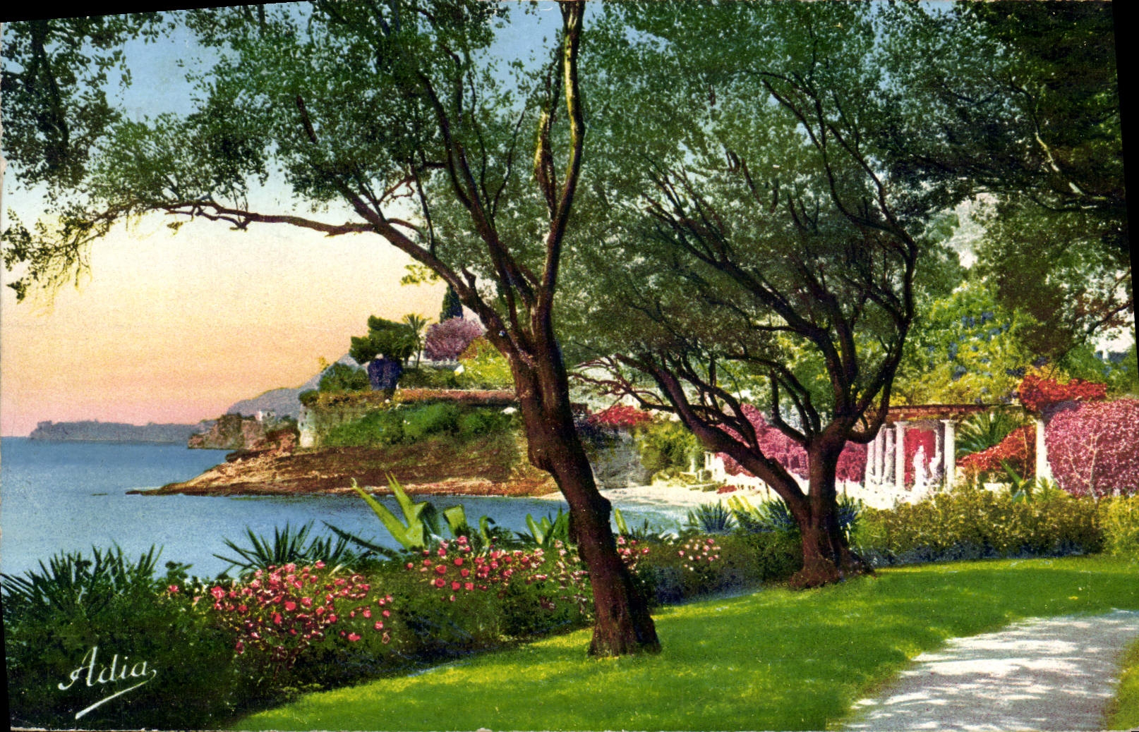 CPA La Cote D'Azur Jardins au Bord de la Ner