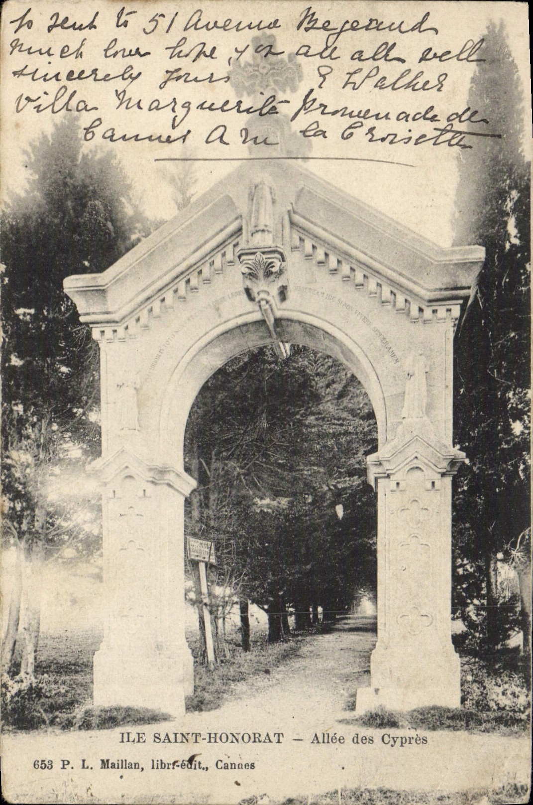 CPA Ile Saint Honorat Allee des Cypres