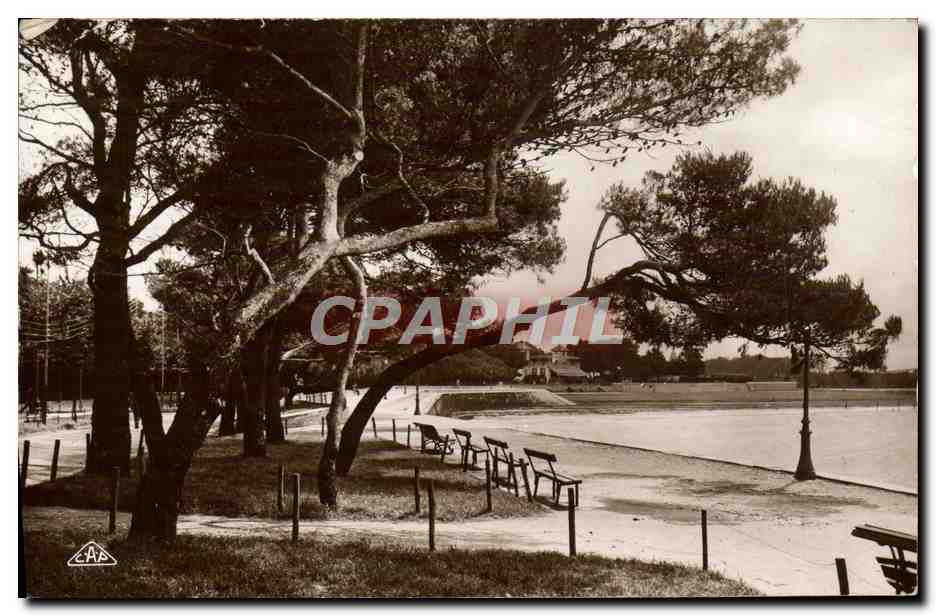 La Plage à travers les Pins — La Rochelle — C.A.P. Strasbourg