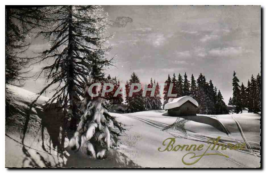 CPM Bonne annee