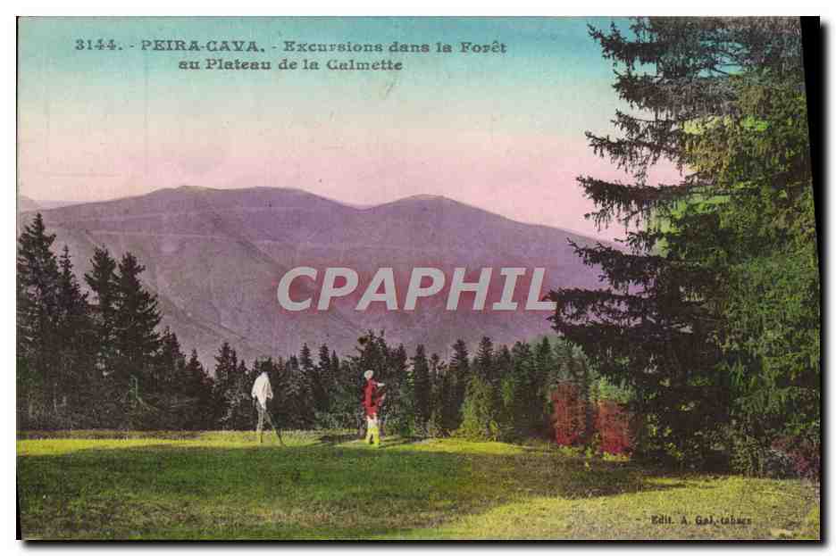 CPA Peira Cava Excursions Dans La Foret au plateau de la Calmette