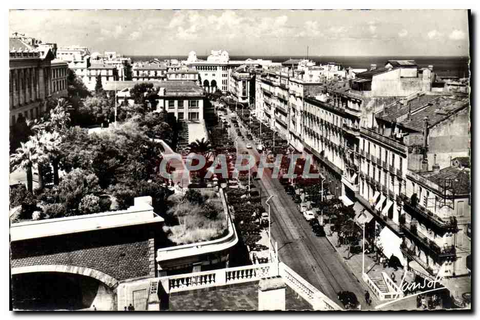 CPM Alger Les Facultes La Rue Michelet et la Poste 