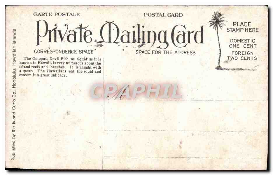 CPA Octopus Devil Fisa Hawaiian Islands Pieuvre — Back
