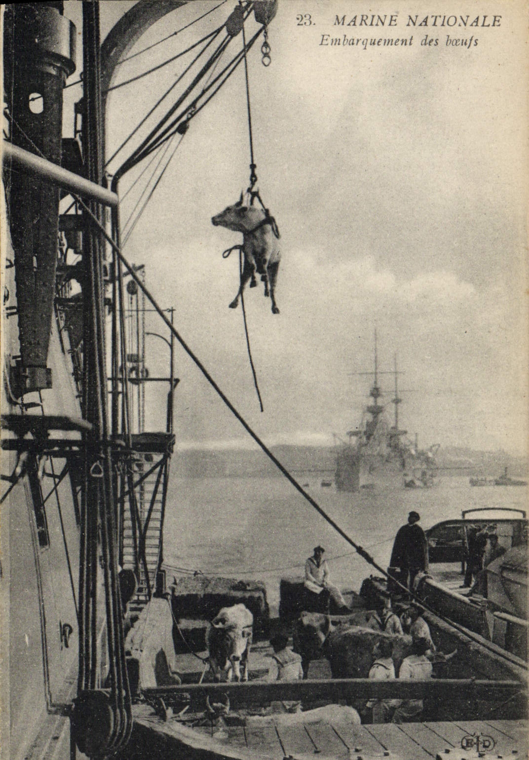 Embarquement des bœufs — Marine Nationale — Éditeur B.D. n°23