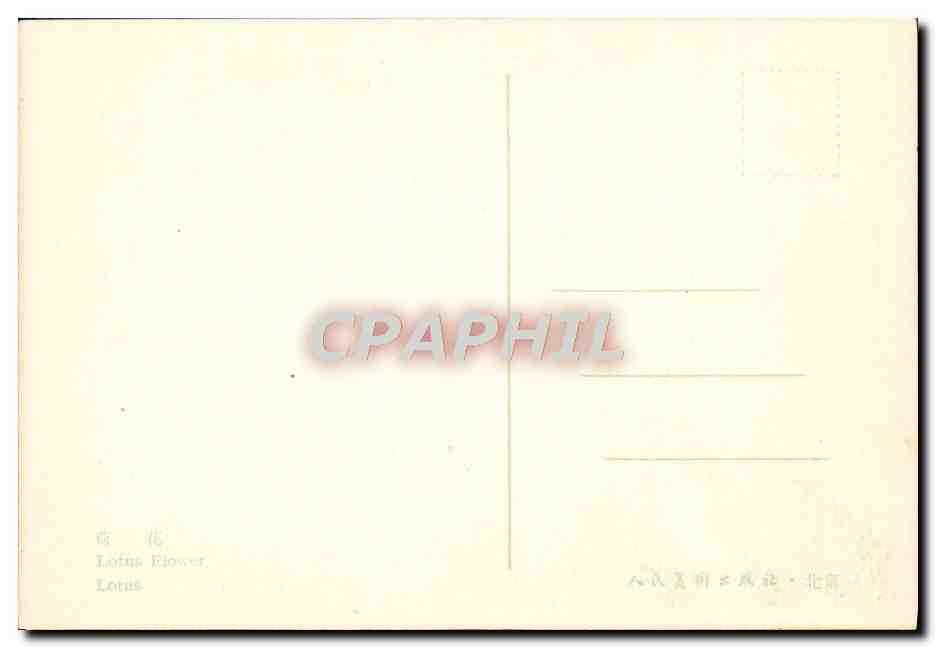CPA Chine China Fleurs — Rückseite