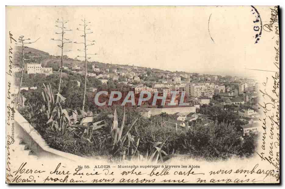 ALGER — Mustapha superior durch die Aloes — Collection P. S.