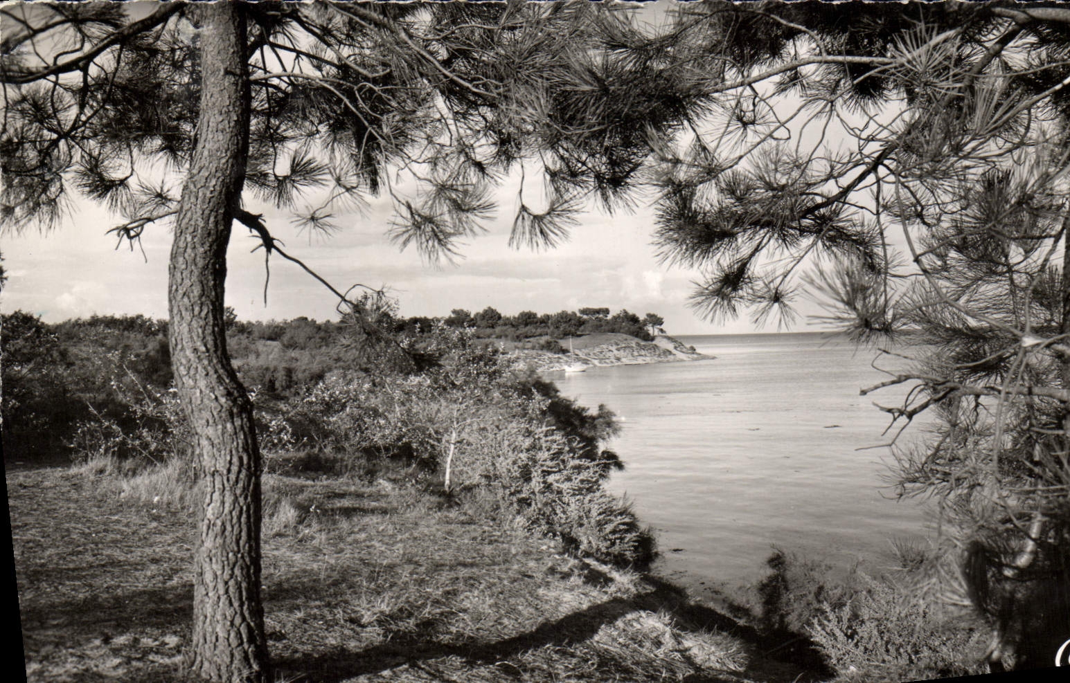 Ile de Ré — Les Bords de la Côte — Cie des Arts Photomécaniques, Paris