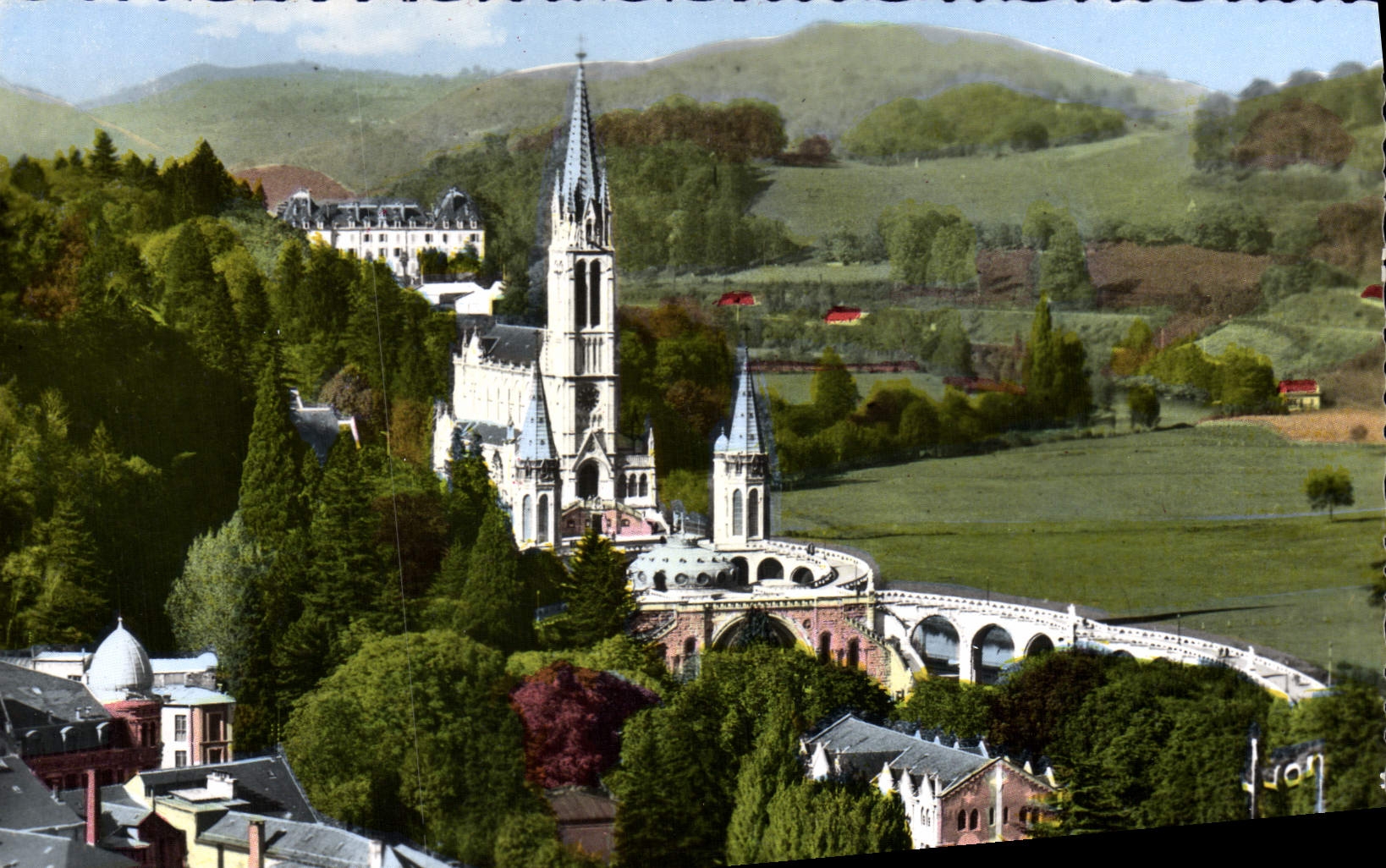 CPM Lourdes La Basilique Et Le Gave