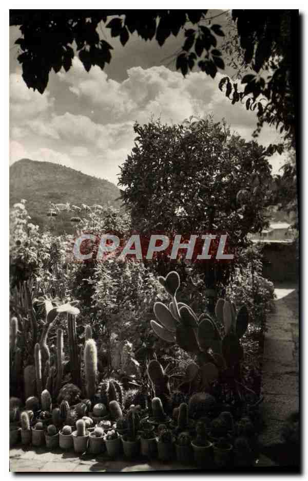 CPM Mallorca Valimenosa Vista parcial del jardinaito de la Celda Museo Chopin y George Sand 
