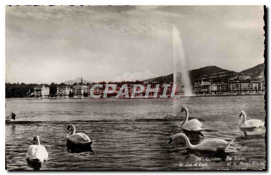 CPM Geneve La rade Le jet d'eau et le mont Blanc Cygnes 